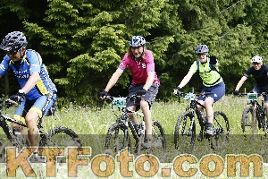 Photo 4246641