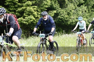 Photo 4246651