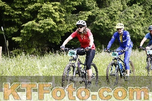 Photo 4246678