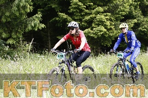 Photo 4246680