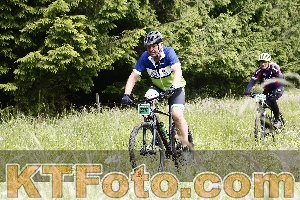Photo 4246696