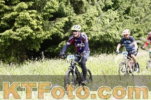 Photo 4246698