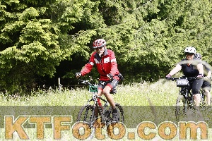 Photo 4246704