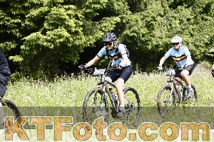 Photo 4246709
