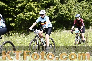 Photo 4246712