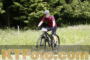 Photo 4246834