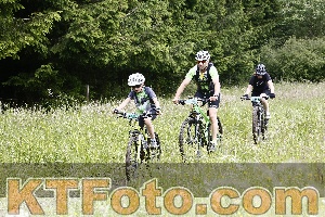 Photo 4246841