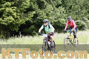 Photo 4246881