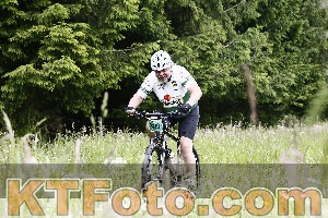 Photo 4246892