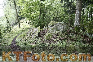 Photo 4246895