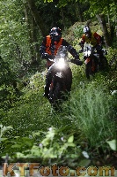 Photo 4246905