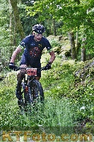 Photo 4246949