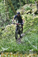 Photo 4246954