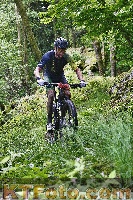 Photo 4246955