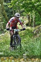 Photo 4246970