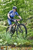 Photo 4246977