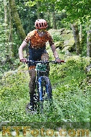 Photo 4246978