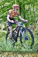 Photo 4246980
