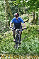Photo 4246986