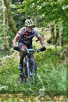 Photo 4247011