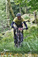 Photo 4247031