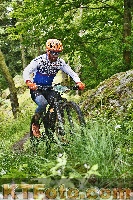 Photo 4247042