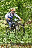 Photo 4247043