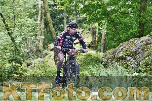 Photo 4247083
