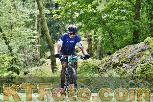 Photo 4247127
