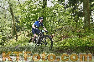 Photo 4247185