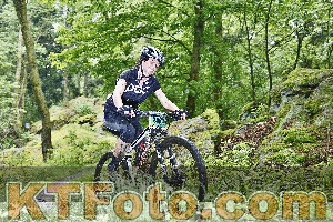 Photo 4247209