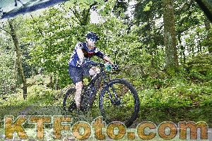 Photo 4247224