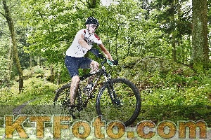 Photo 4247232