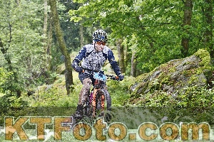 Photo 4247347
