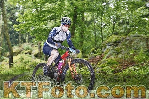 Photo 4247348