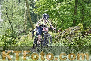Photo 4247353