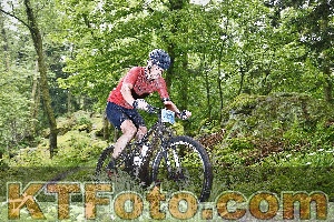 Photo 4247362