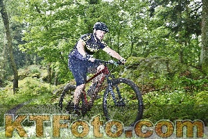 Photo 4247409