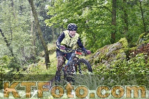 Photo 4247411