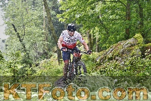 Photo 4247422