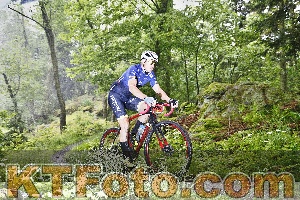 Photo 4247455