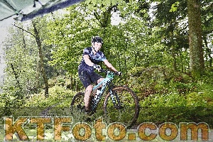 Photo 4247460