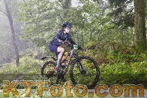 Photo 4247506