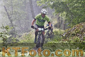Photo 4247527