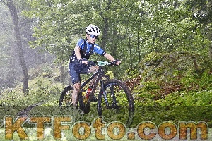 Photo 4247532