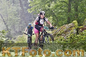 Photo 4247542