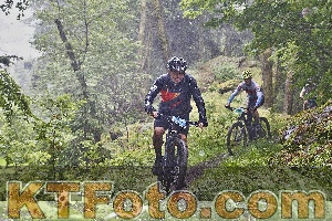 Photo 4247833