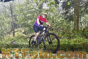 Foto 4247903