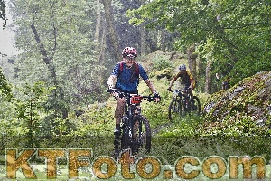 Photo 4247952