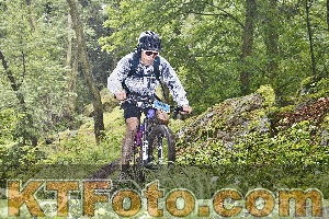 Photo 4247980